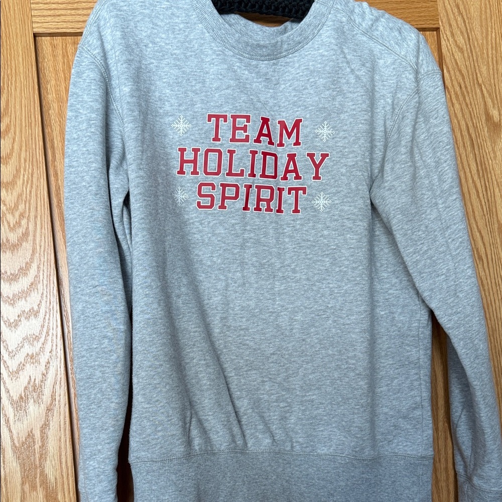Family holiday sweatshirts (mom, dad, kid & dog)